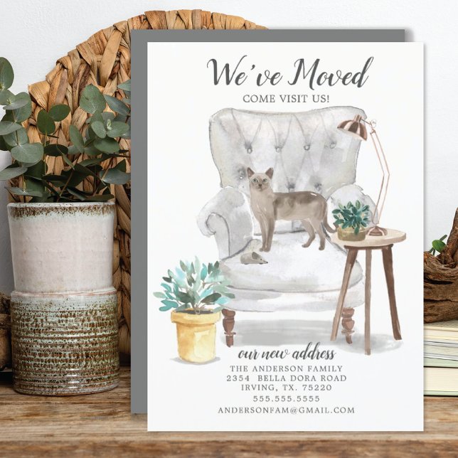 Tonkinese Cat Moving Ankündigung (Von Creator hochgeladen)