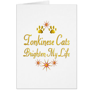 Tonkinese Katzen erhellen mein Leben
