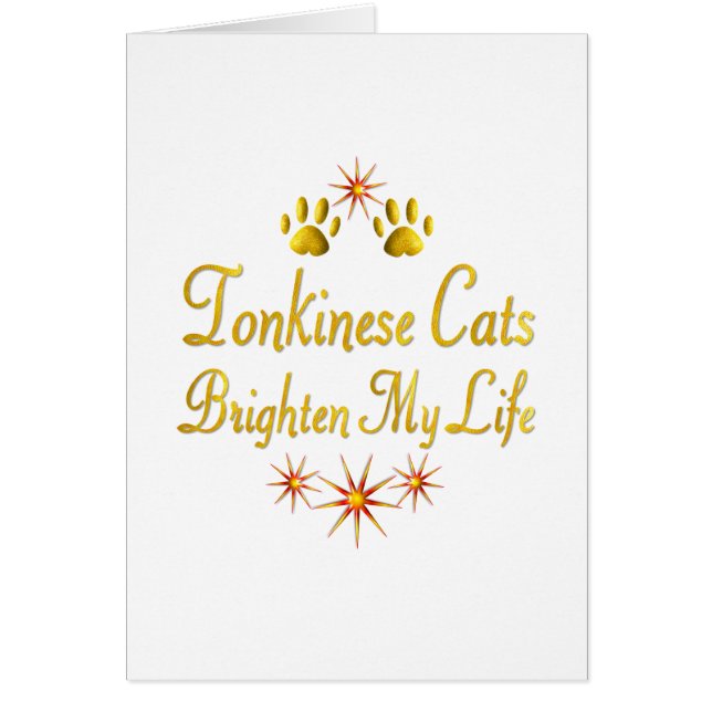 Tonkinese Katzen erhellen mein Leben (Vorne)