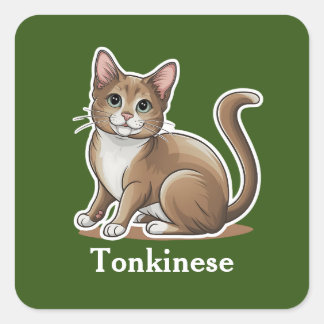 Tonkinese Quadratischer Aufkleber