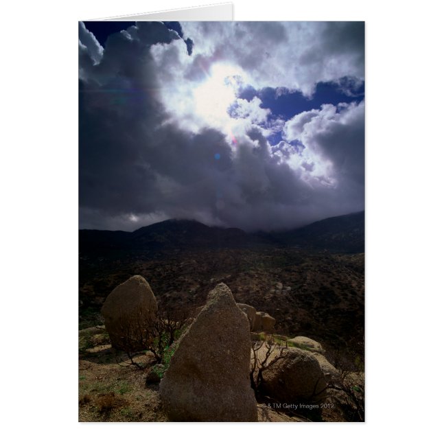 Tonto National Forest, Arizona, Vereinigte Staaten (Vorne)