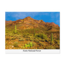 Tonto National Forest Postcard
