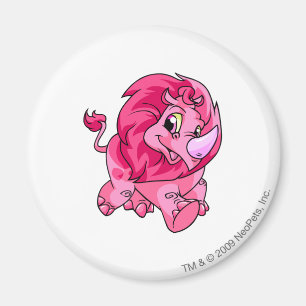 Tonu Pinnk Magnet