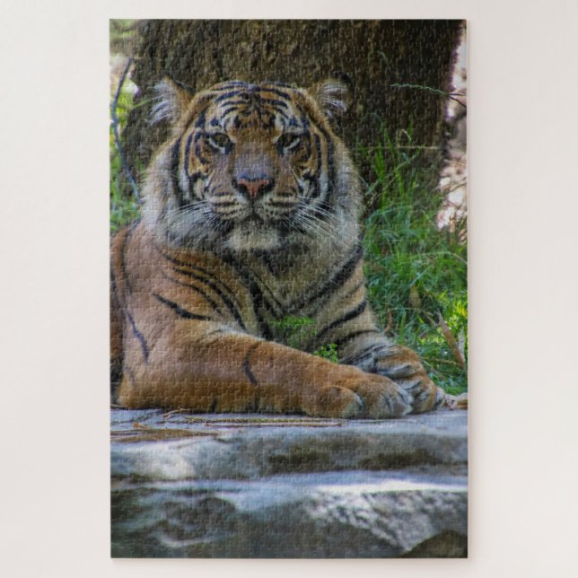 Tony Puzzle (Vertikal)