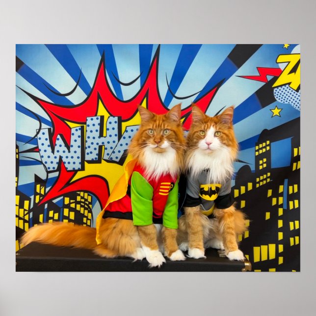 Tony und Teddy, das Dynamic Maine Coon Duo Poster (Vorne)