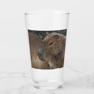 Toony Capibarah Glas