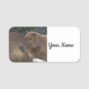 Toony Capibarah Namensschild