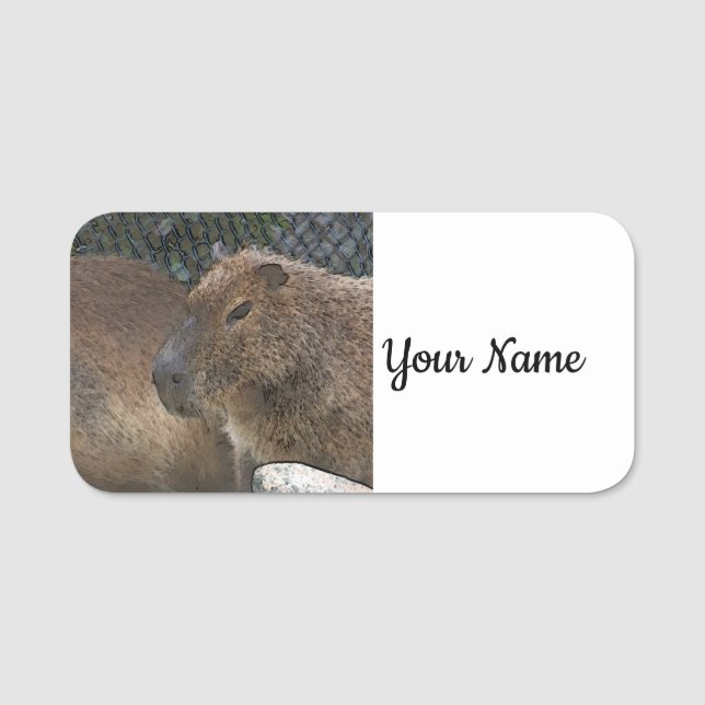 Toony Capibarah Namensschild (Vorderseite)