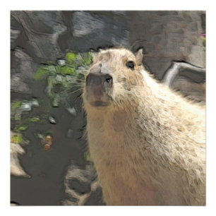 Toony Capy 3 Fotodruck