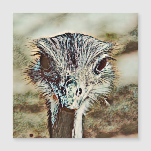 Toony Strauß Magnetkarte