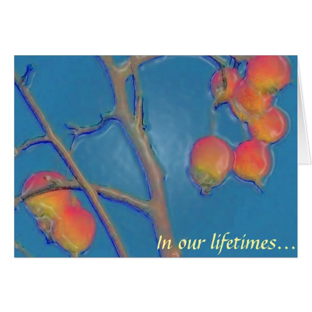 Tooty Frooty (Vorderseite (Horizontal))