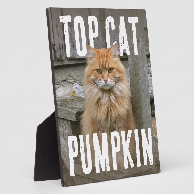 Top Cat PhotoPop Fotoplatte (Seite)