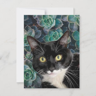 Top Cat Postkarte
