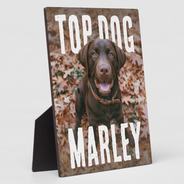 Top Dog PhotoPop Fotoplatte (Seite)