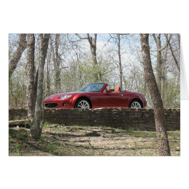 Top Down! (Vorderseite (Horizontal))