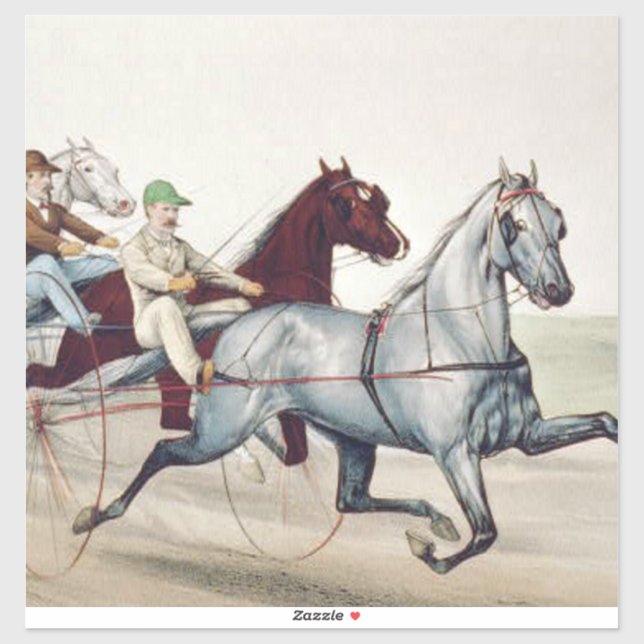 TOP Harness Racing Aufkleber (Blatt)