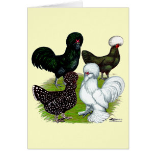 Top Hat Chicken Quartett