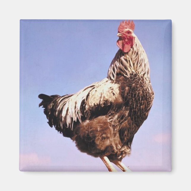 Top-Liste Magnet (Vorne)