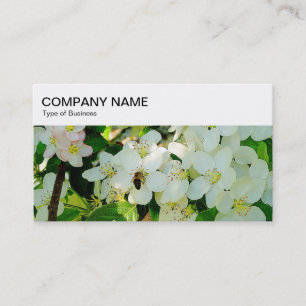 Top Panel - Honigbiene auf Blossom Business Card Visitenkarte