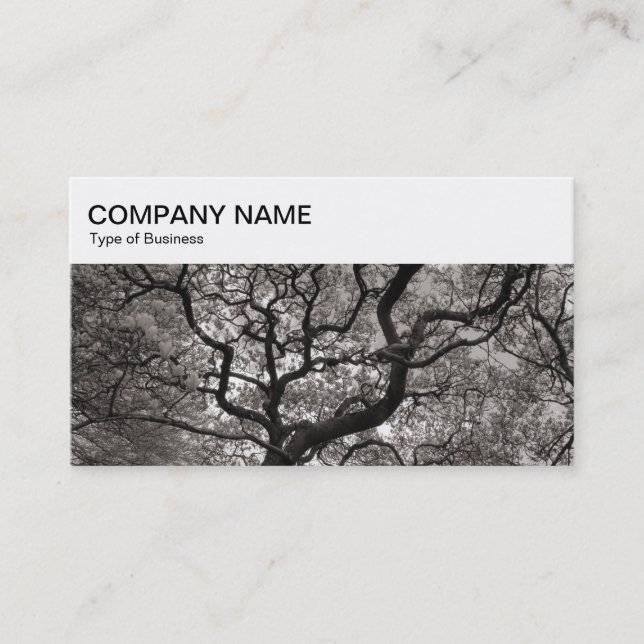 Top-Panel - Magnolia Trees Business Card Visitenkarte (Vorderseite)