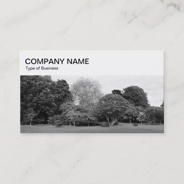 Top Panel - Park BW Business Card Visitenkarte (Vorderseite)