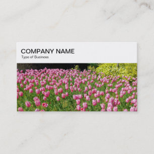 Top-Panel - Pink Tulips Business Card Visitenkarte