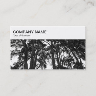 Top-Panel - Scott's Pine Trees Business Card Visitenkarte
