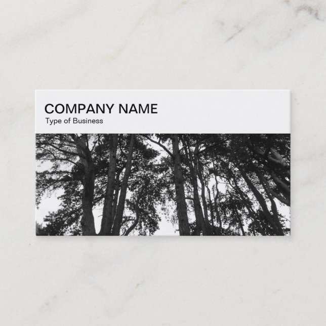 Top-Panel - Scott's Pine Trees Business Card Visitenkarte (Vorderseite)