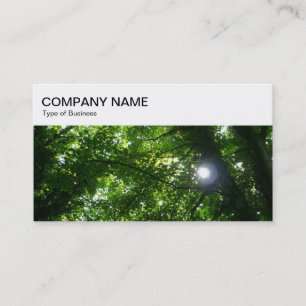 Top-Panel - Sonne strahlt durch Bäume Geschäftswag Visitenkarte