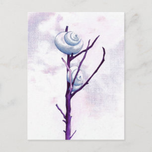 Top Snail Postcard Postkarte