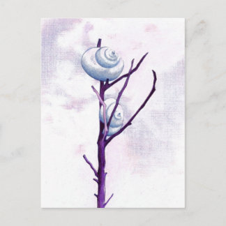 Top Snail Postcard Postkarte