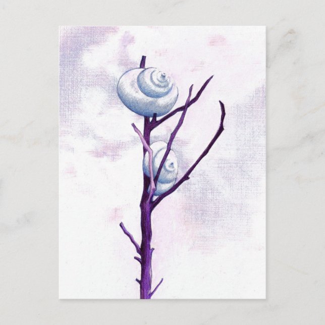 Top Snail Postcard Postkarte (Vorderseite)