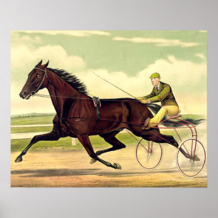 TOP Sulky Champ Poster