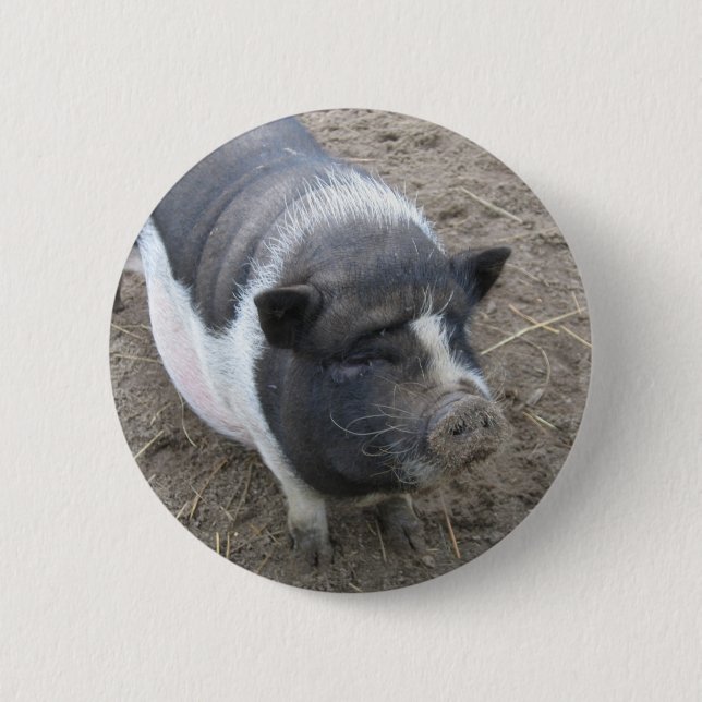 Topf aufgeblähtes Schwein Button (Vorderseite)