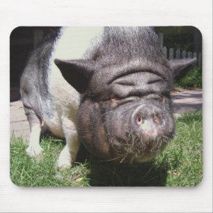 Topf-Aufgeblähtes Schwein Mousepad
