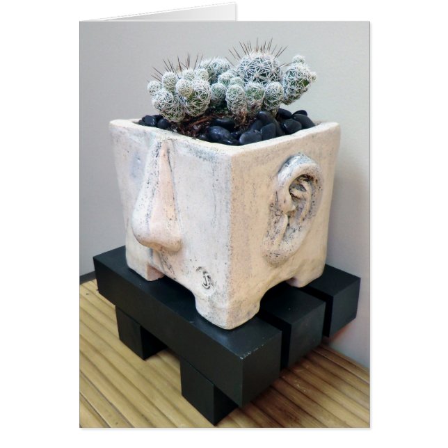 Töpfchen mit Thimble-Kaktus von Succulent Designs (Vorne)