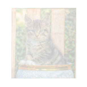 Töpfe der Babykätzchen Notizblock