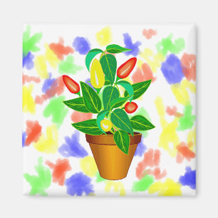 Töpfe mit roter und gelber Pfeffer-Pflanze Magnet