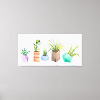 Töpfe von Sukkulenten