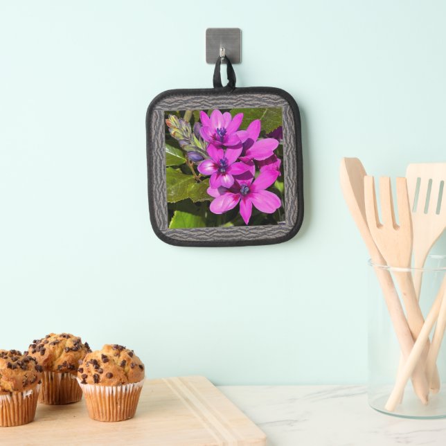 Töpfhalter mit Magenta Baboon Blume Topflappen (Insitu (Hängend))