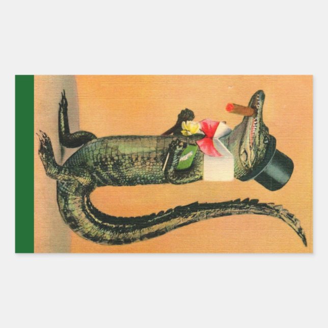Topfhut-Alligator Rechteckiger Aufkleber (Vorderseite)