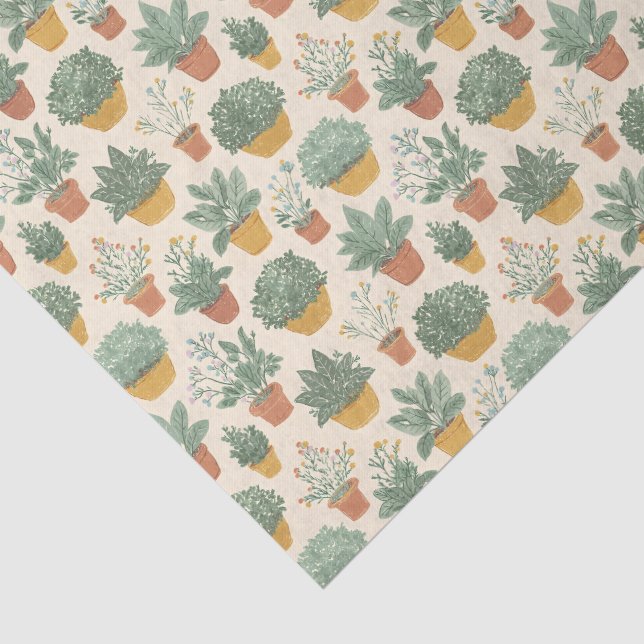 Topfpflanzen Botanischer Illustrationsstil Medium Seidenpapier (Ausschnitt)