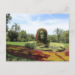 Topiary Art Postkarte