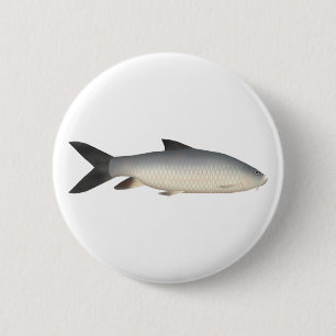 Tor Mahseer Button