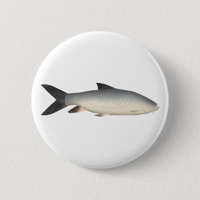 Tor Mahseer Button (Vorderseite)