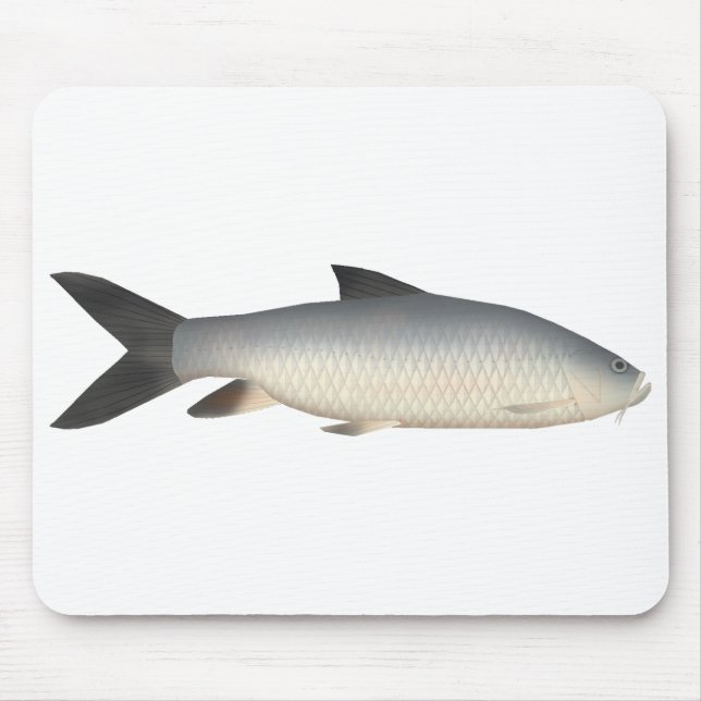 Tor Mahseer Mousepad (Vorne)
