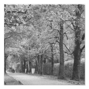 "Torbogen" Photoprint Fotodruck