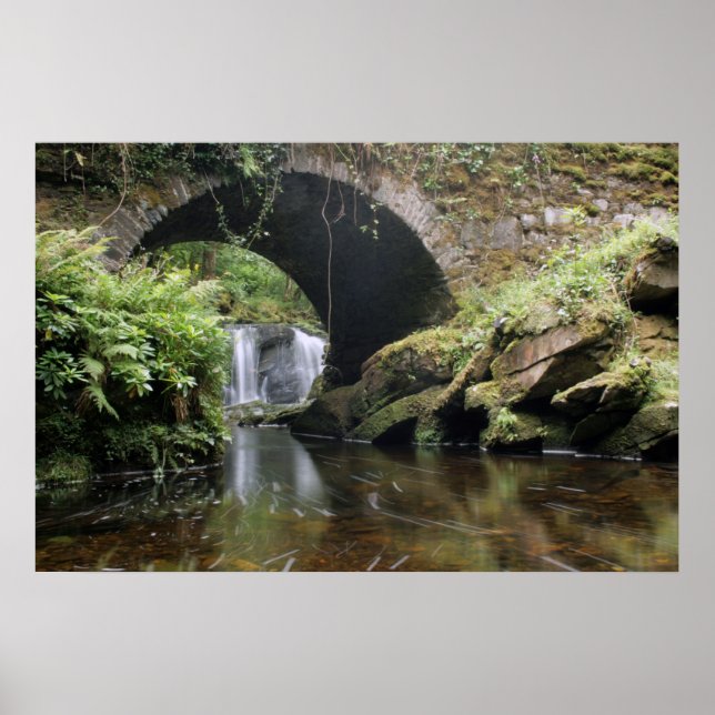 Torc Waterfall Bridge Poster (Vorne)
