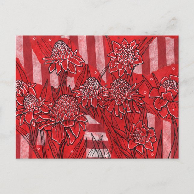 Torch Ginger Lily, Rote Blume Tropische Kunst Postkarte (Vorderseite)