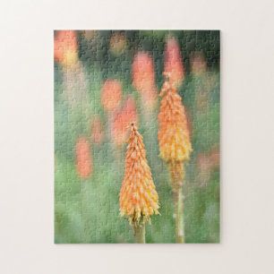 Torch Lily Red Hot Poker Blume Naturfotografie Puzzle
